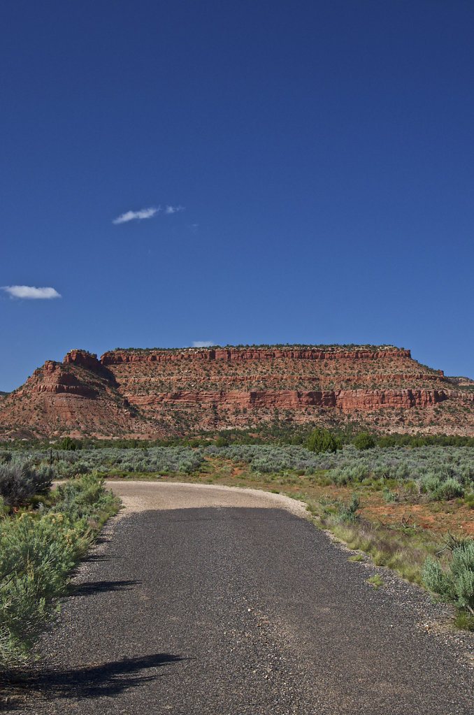 Wirepass-Buckskin-2017-154.jpg