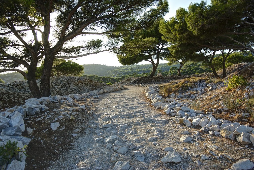 provence-020.jpg
