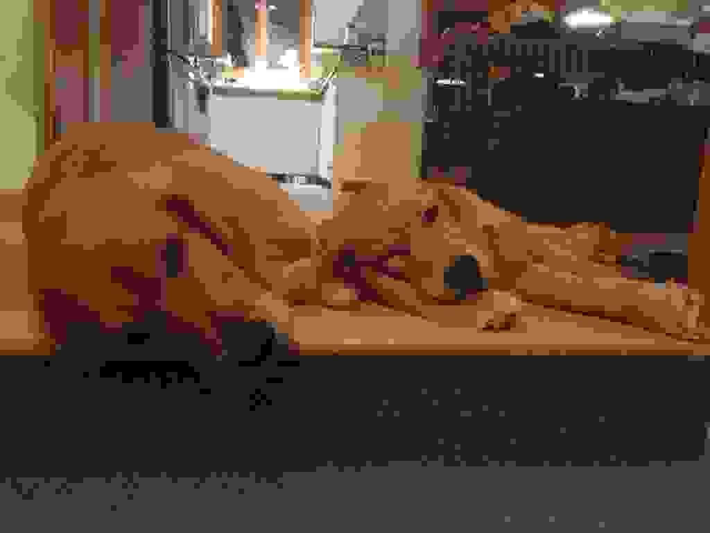 8A73FAC6-9961-494E-B64D-EAFDD0A7837D.JPG
